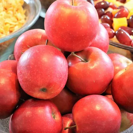 Viktoria Duesseldorf-neuss - Self Check-in