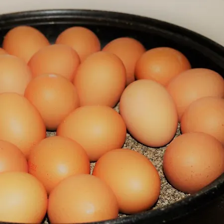 酒店 Viktoria Duesseldorf-neuss - Self Check-in 诺伊斯