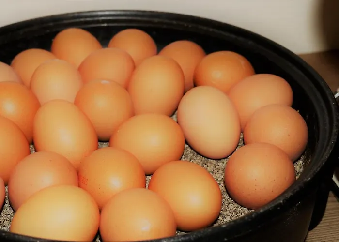 호텔 Viktoria Duesseldorf-neuss - Self Check-in 노이스